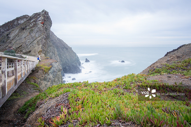 博尼塔角图片素材