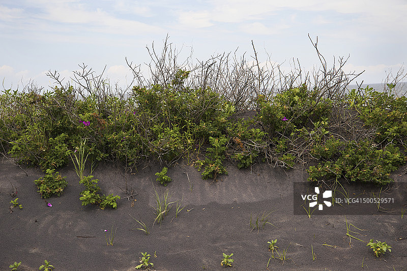 罗德岛布洛克岛风光图片素材