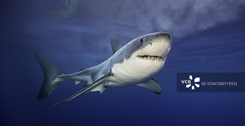 面带笑容图片素材