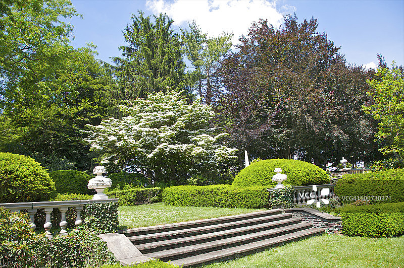 绿叶和树木旁的花园台阶图片素材