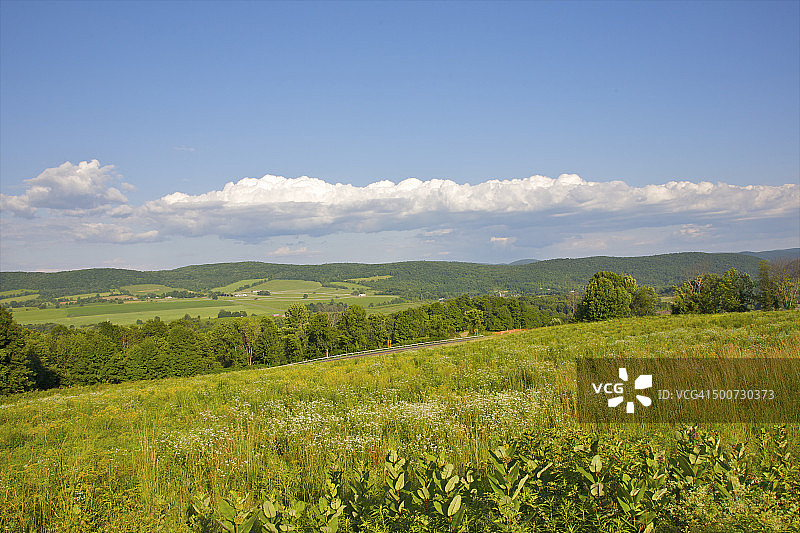 绿色田野、树木和山坡图片素材