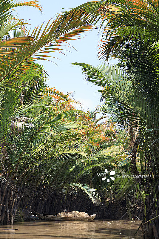 越南湄公河三角洲图片素材