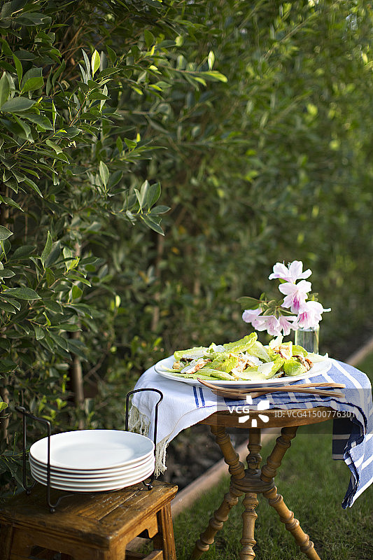户外沙拉自助餐图片素材