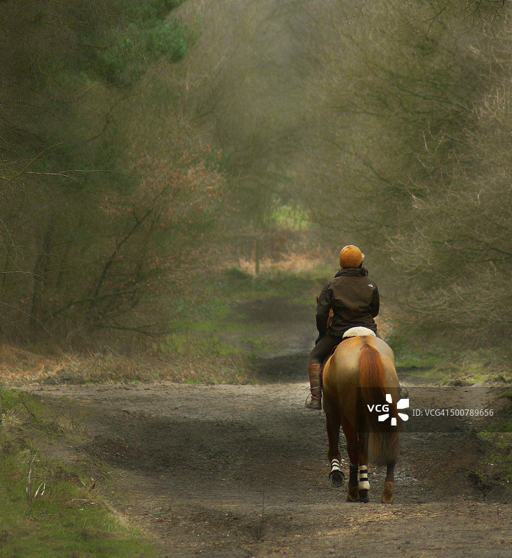 林中骑马图片素材
