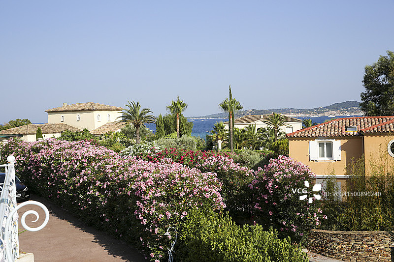 暑假住宿图片素材