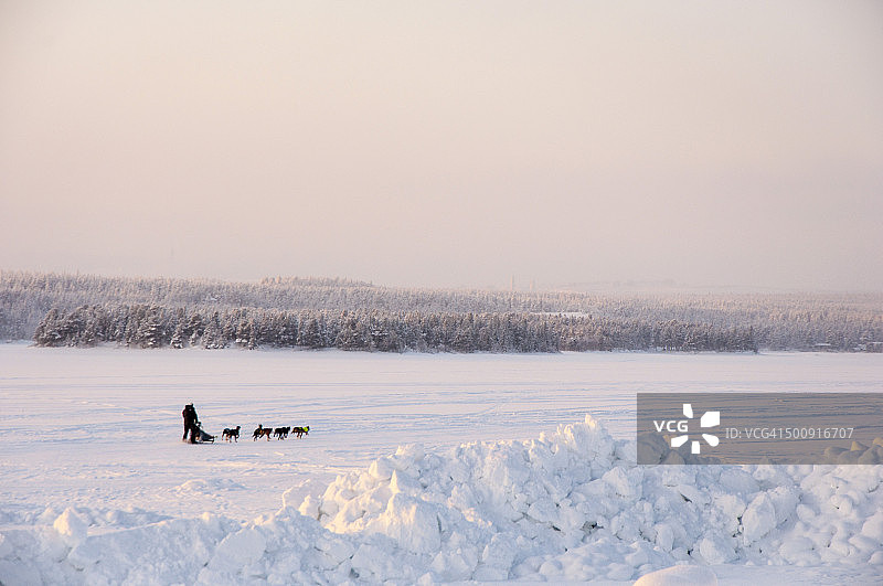 拉普兰的男人和狗拉雪橇图片素材
