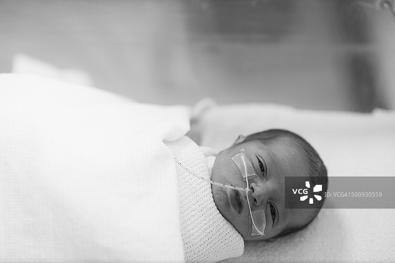 在医院里的婴儿图片素材