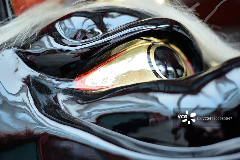 龙的眼睛图片素材