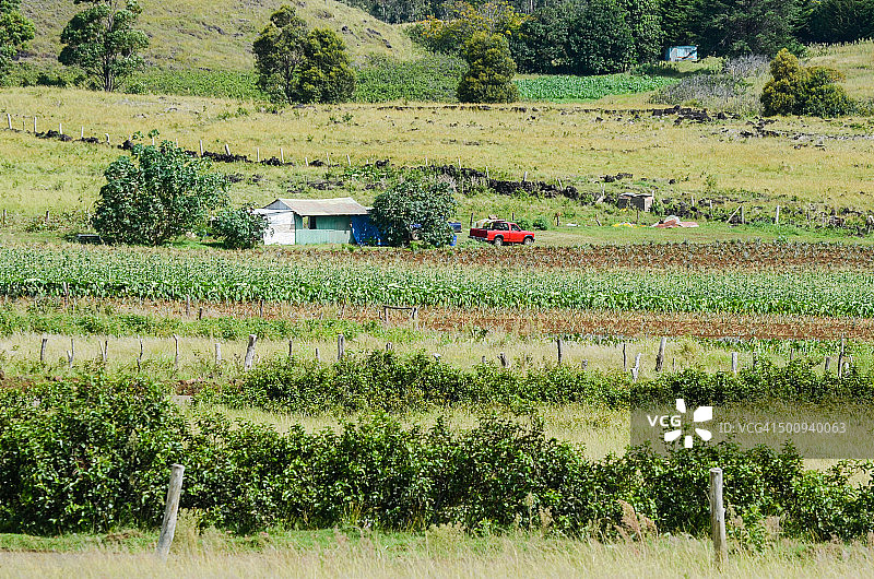 阿胡阿基维的农场图片素材