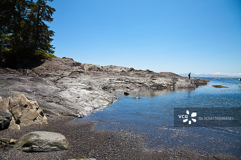 植物海滩图片素材
