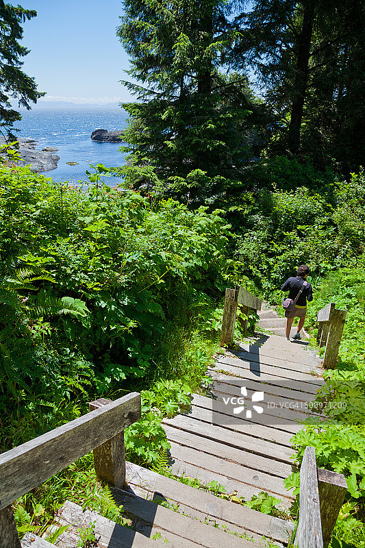 通往植物学海滩的阶梯图片素材