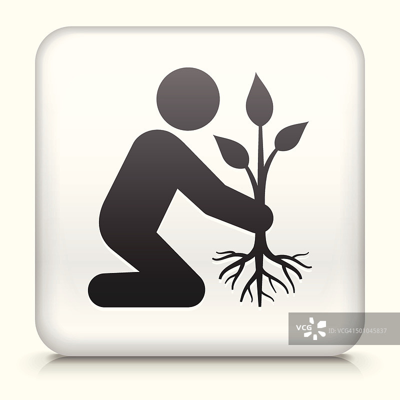 带植树的方形按钮免版税矢量图图片素材