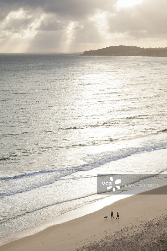 人们在马德拉海滩遛狗图片素材