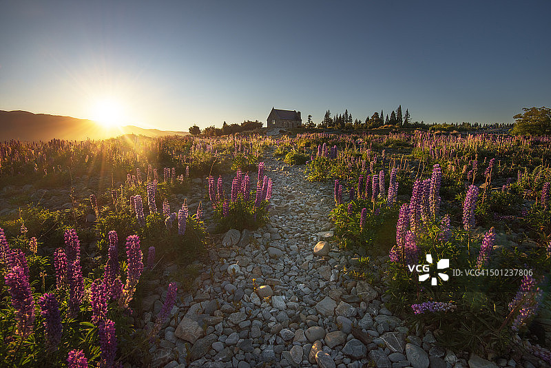 好牧羊人教堂日出（新西兰蒂卡波湖）图片素材