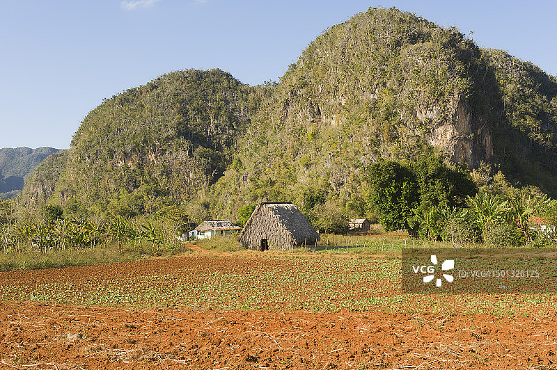 比尼亚莱斯图片素材