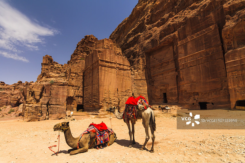 约旦佩特拉古城墓穴附近的骆驼图片素材