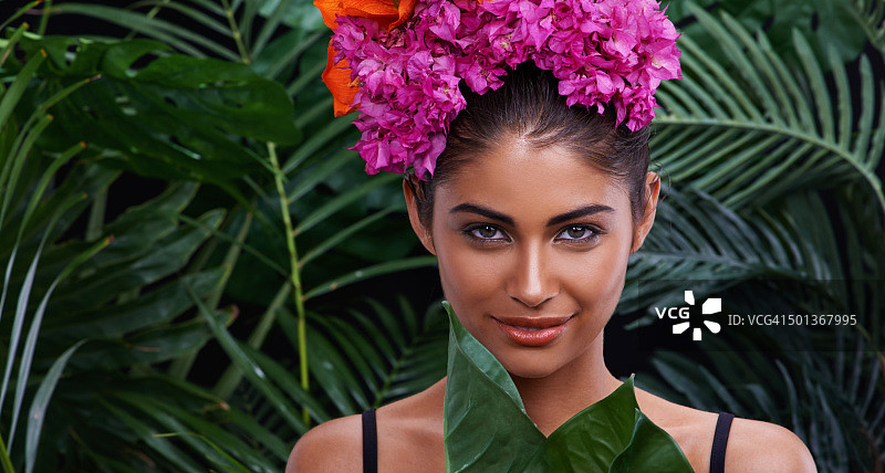 丛林中的宝藏图片素材