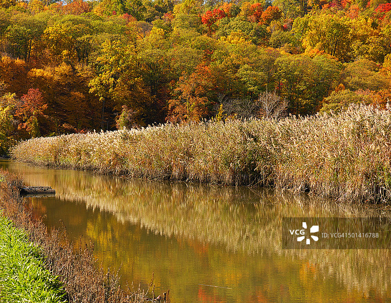 纽约州爱奥那岛图片素材