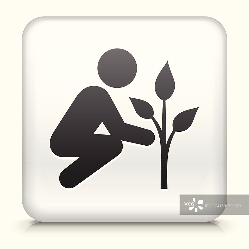 带植树的方形按钮免版税矢量图图片素材