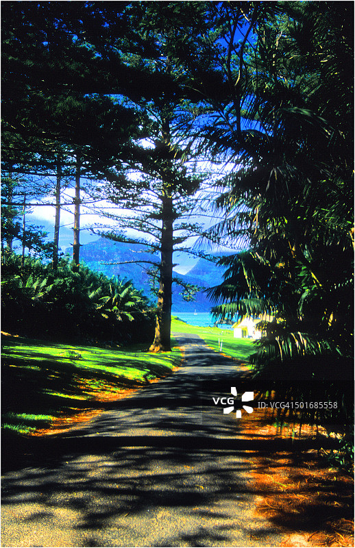 豪勋爵岛，雄伟壮丽，是澳大利亚新南威尔士州的一部分图片素材