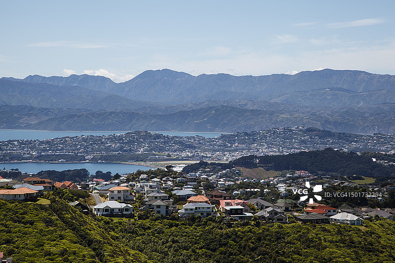 从新西兰城镇带公园看到的惠灵顿市图片素材