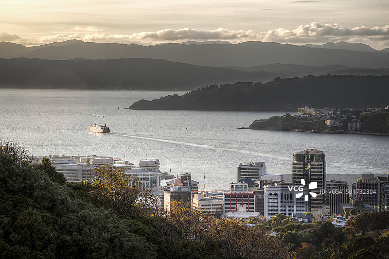 从新西兰城镇带公园看到的惠灵顿市图片素材