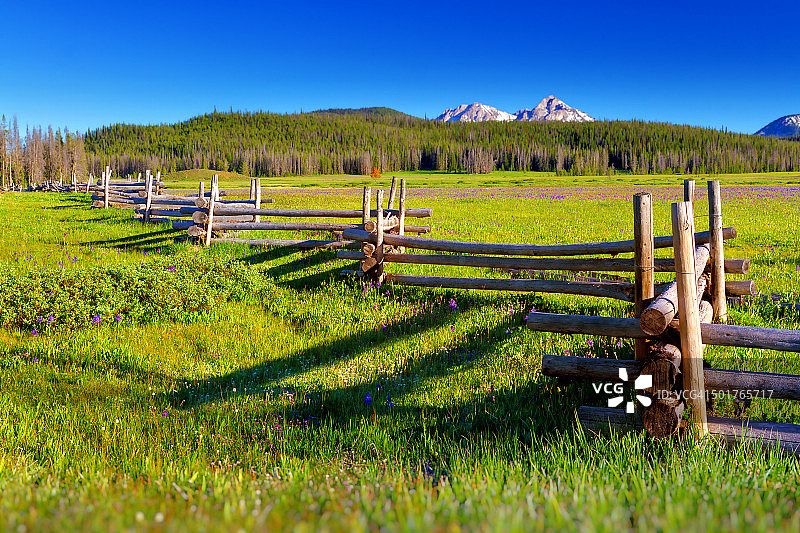 爱达荷州斯坦利的乡村原木栅栏和卡马斯百合图片素材