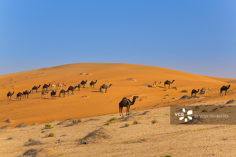 鲁卜哈利沙漠，空域，利瓦沙漠，阿拉伯联合酋长国图片素材