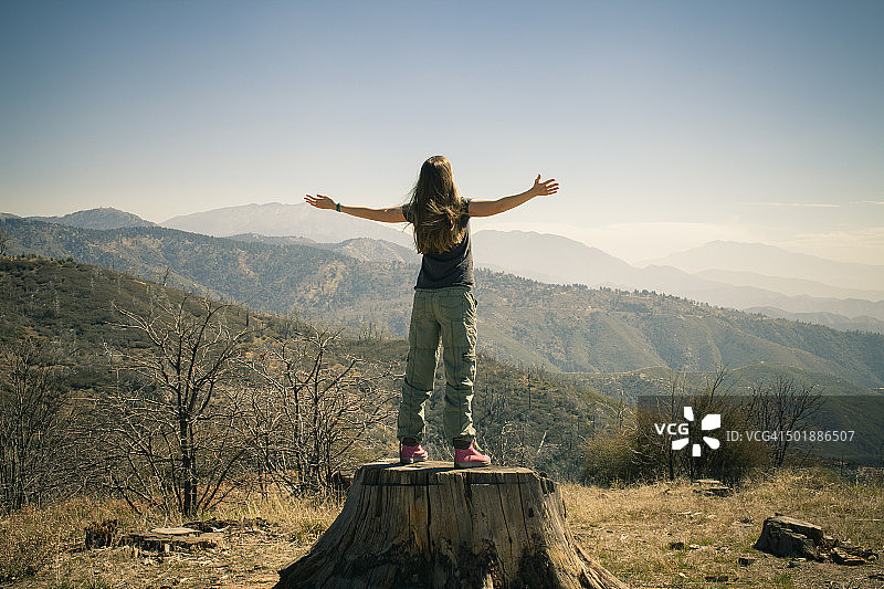 中年妇女在树干上张开双臂的背影，地点：美国加利福尼亚箭头湖图片素材