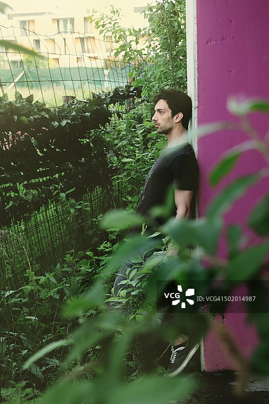 绿色生活图片素材