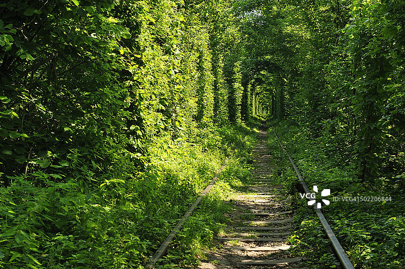 爱之隧道图片素材