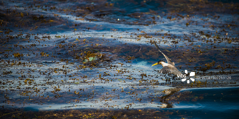 舞蹈转身图片素材
