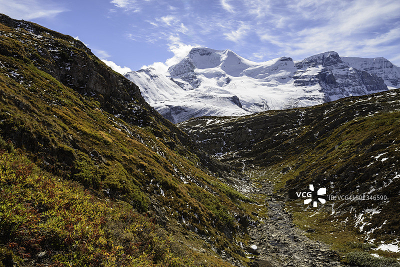 贾斯珀国家公园 Wilcox Pass 的峡谷和冰川覆盖的山脉景色图片素材