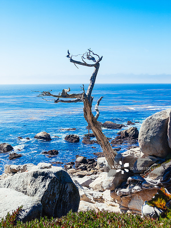 卵石滩海景图片素材