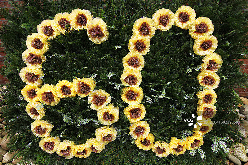 60周年图片素材