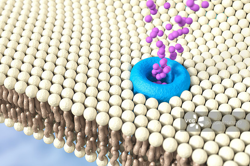 线粒体离子通道图片素材