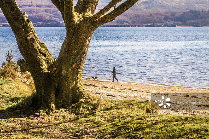 阿登蒂尼海滩的树木和行人图片素材