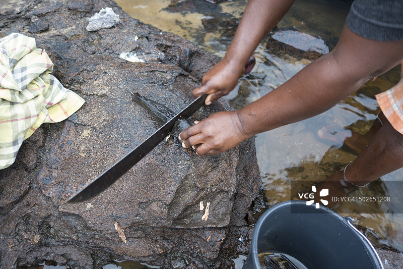 女人在苏里南河边切鱼图片素材