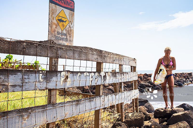 鲨鱼出没警告标志图片素材