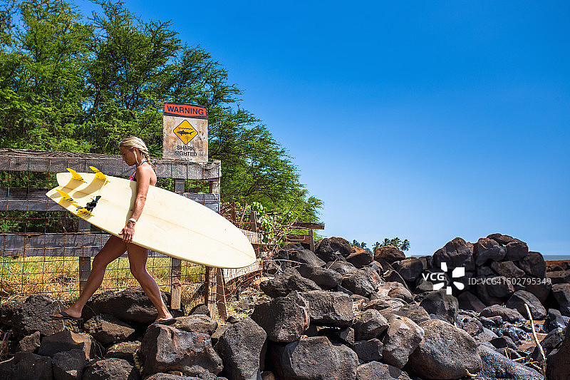 鲨鱼出没警告标志图片素材
