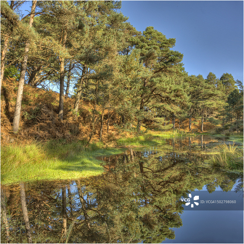 英格兰多塞特郡韦勒姆附近的废弃粘土坑形成的泻湖图片素材