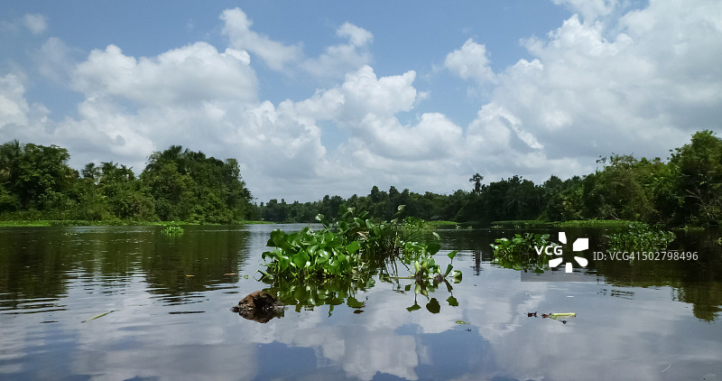 奥里诺科河三角洲风光图片素材