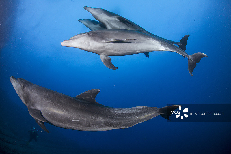 捕捉精彩瞬间图片素材