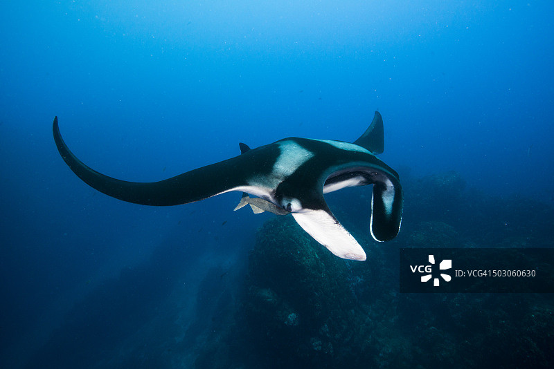 航海者图片素材