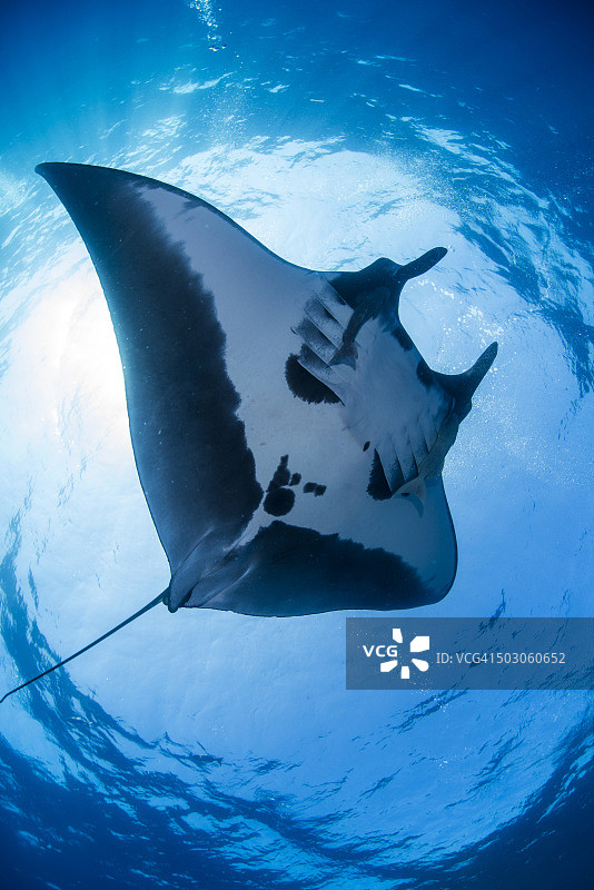 圣丹斯图片素材