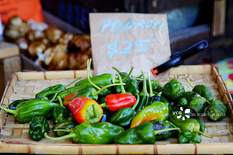 冬季的帕德龙辣椒图片素材