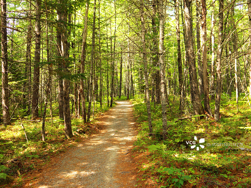 步行小路-凯基姆库吉克国家公园图片素材