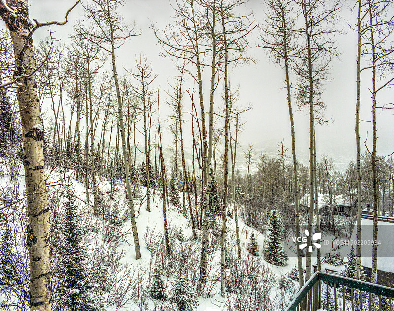 从阳台看到的斯诺马斯景色图片素材