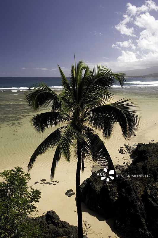 莫亚海滩图片素材