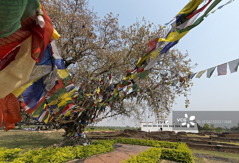 尼泊尔蓝毗尼玛雅黛维寺图片素材